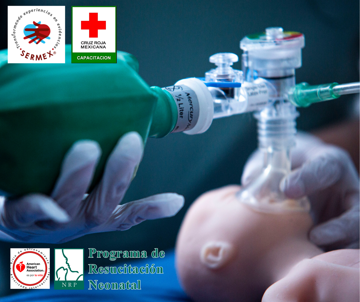 Neonatal Resuscitation Program (NRP)