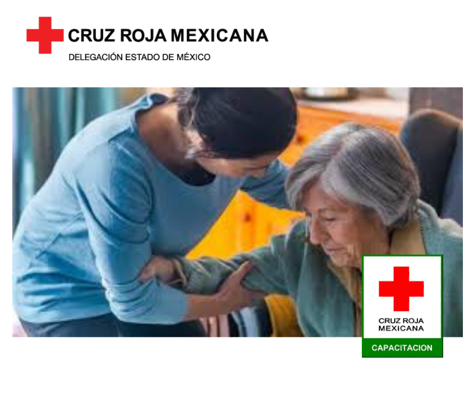 Cuidado de pacientes en el hogar. Aplicación de medicamentos, adaptaciones en el hogar.