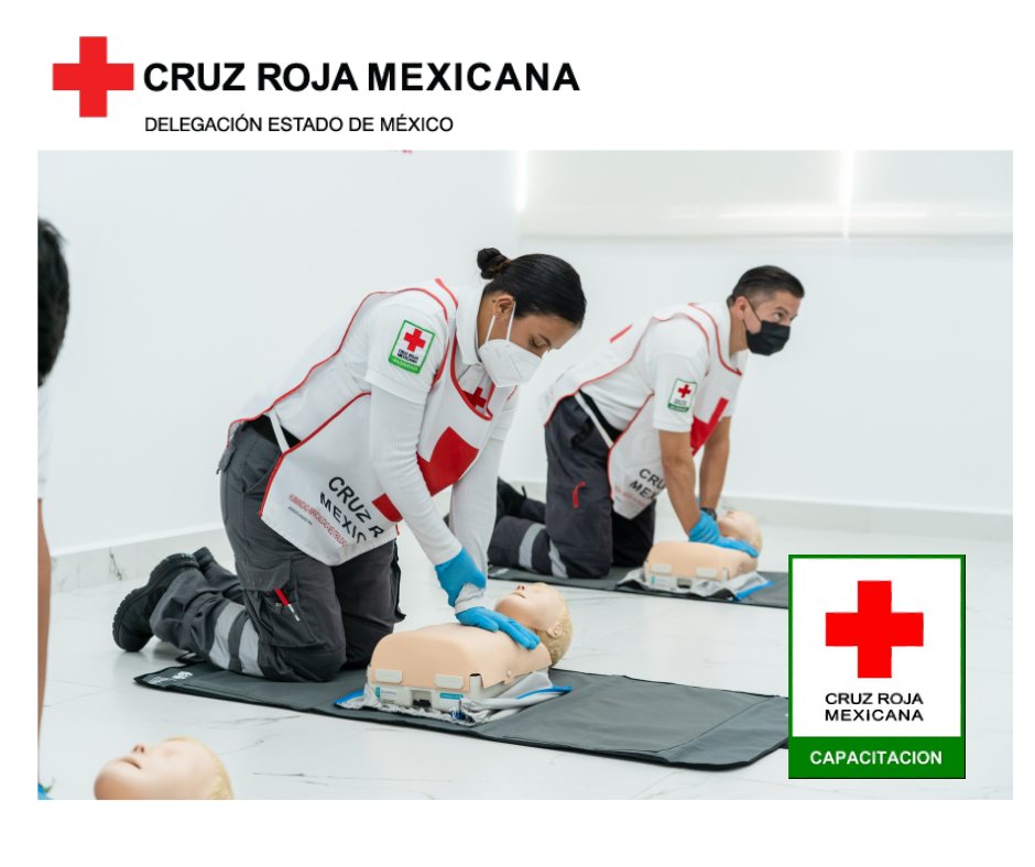 Reanimación Cardiopulmonar y Desobstrucción de la Vía Aérea