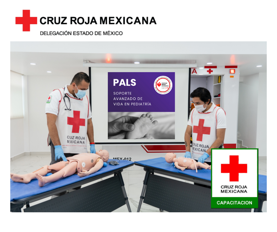 Pediatric Advanced Life Support (PALS)