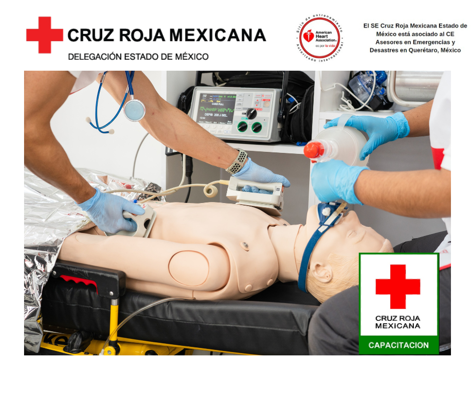 Advanced Cardiovascular Life Support (ACLS)