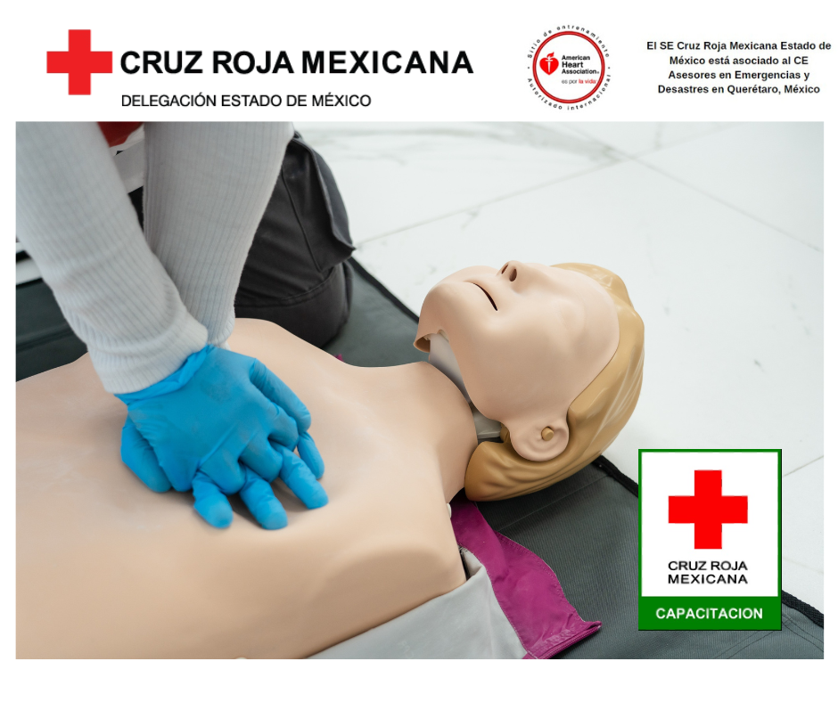 Basic Life Support (BLS)