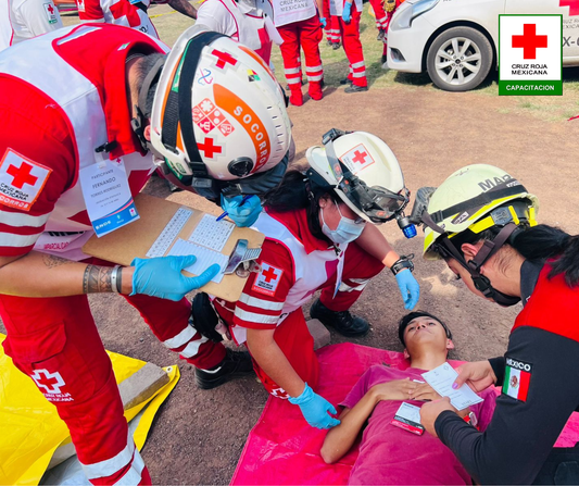 Introducción a los Desastres y Serie 3000