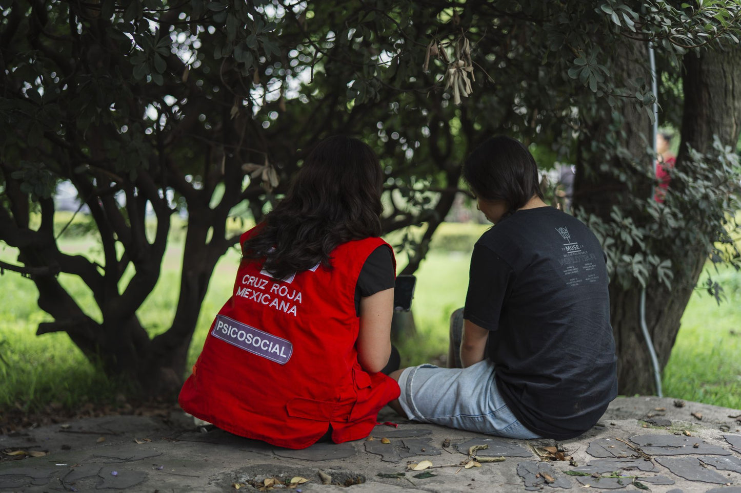 Diplomado en Apoyo Psicosocial en Emergencias Médicas y Desastres